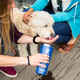 50% Off 22 oz and 32 oz Tumblers in Black, Graphite, Cobalt, and Pacific | Hydro Flask | Promo code TUMBLER-4Q8RG9